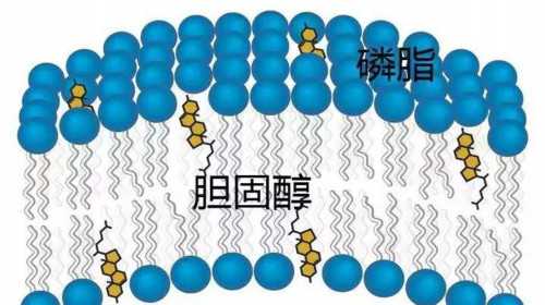 深圳供卵试管婴儿单周费用明细一览，2023借卵试管生男孩费用清单_咨询代孕机