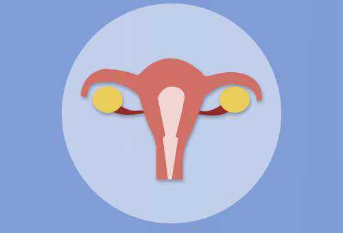 卵巢早衰能医好吗可以怀孕吗&大地宝贝供卵价格&输卵管堵塞只能做试管了吗？