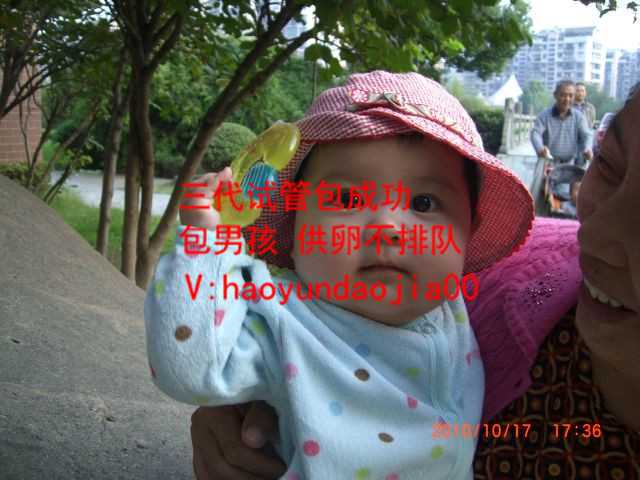 上海60万做代孕_48岁做试管成功率高吗_试管移植放入过程_试管婴儿移植后发育