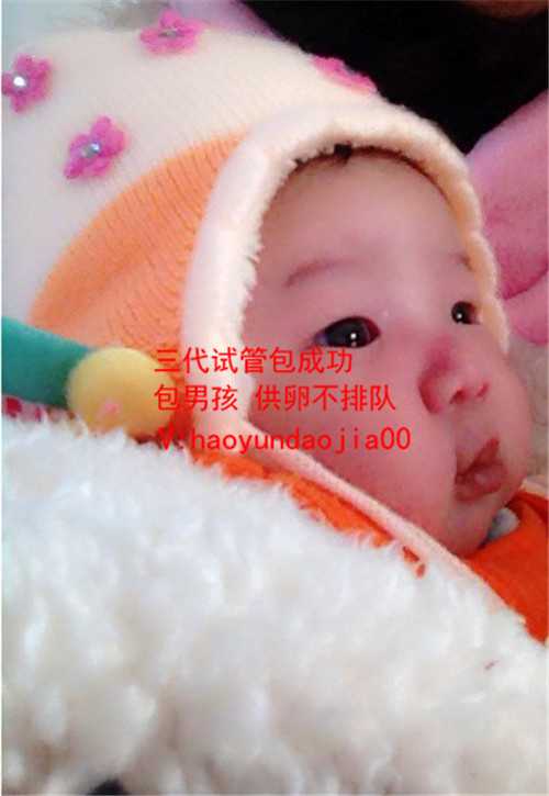上海代怀流程_卵巢早衰没有月经来会怀孕吗_服务比较好的试管婴儿_泰国试管婴