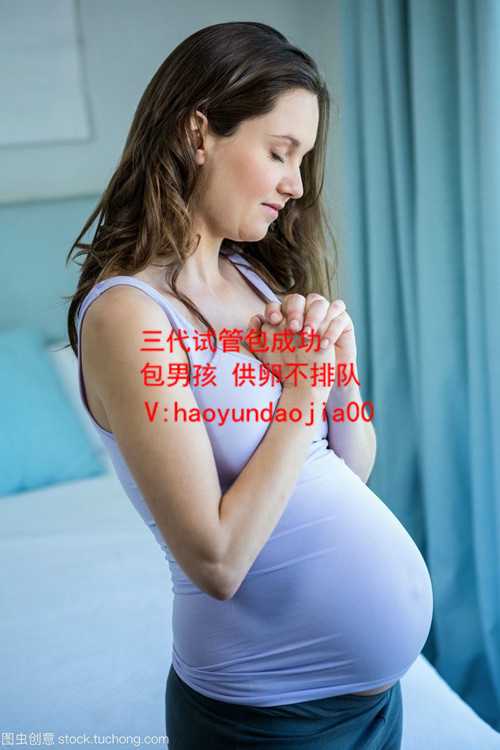 上海代孕机构_在上海有供卵试管婴儿的医院？_二胎试管婴儿有必要吗_二胎有必