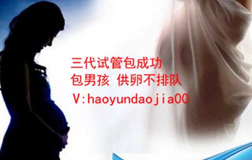 私人100万找代孕_2021私人找上海代孕_设计试管婴儿正方总结_设计试管婴儿正方