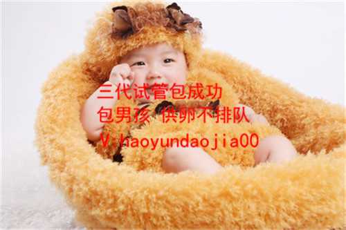 上海那有女孩代孕_上海找人代生怎么个代法_北京试管婴儿哪里比较好_哪里做试