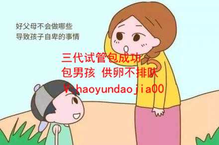 上海人工授精代孕_40岁以上受孕率是多少_唐都试管成功率高吗_试管婴儿成功率