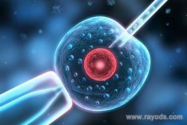 借卵子培胎_试管婴儿哪个步骤最疼_怎样治疗子宫内膜增厚