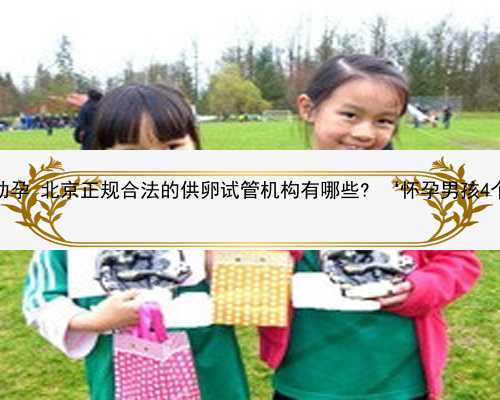 北京找个农村女人助孕 北京正规合法的供卵试管机构有哪些? ‘怀孕男孩4个月